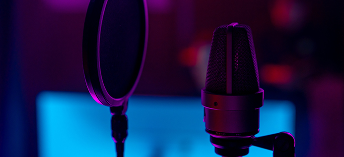 Voice 2